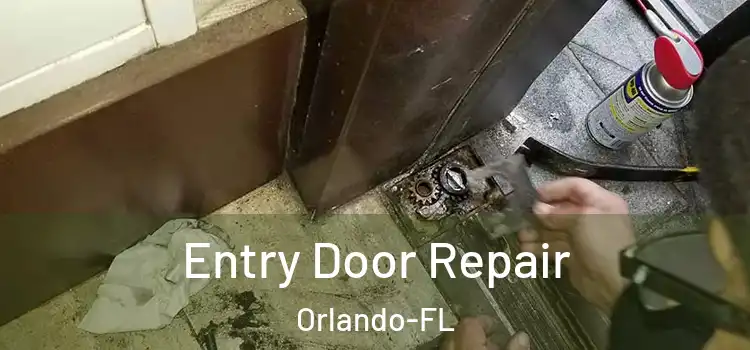  Entry Door Repair Orlando-FL