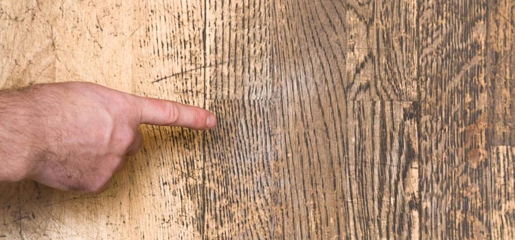 Wood Door Scratch Repair in Orlando